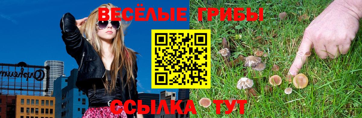 Магадан  Псилоцибиновые грибы Magic Shrooms  Вход с VPN 
