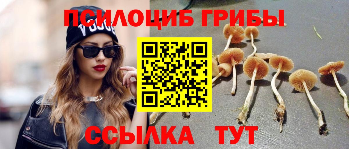 Галлюциногенные грибы мицелий Магадан